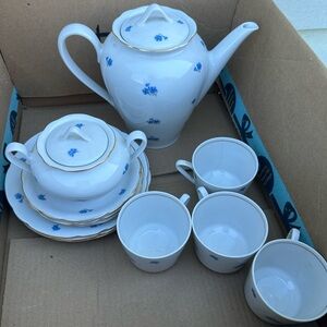 Elegant Blue Floral Dinnerware Set